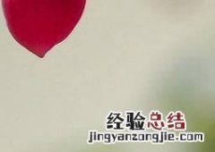 倒挂金钟的养殖方法和注意事项的养殖方法 倒挂金钟的养殖方法全解