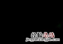 单瓣黄刺玫果实药用价值 单瓣黄刺玫怎么种