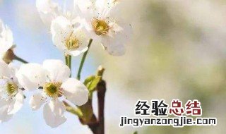 春分为什么不说春至 下面为大家解答