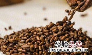 决明子伤肝最大吗 决明子损肝吗