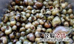 剪好田螺后要怎么弄 小妙招剪田螺