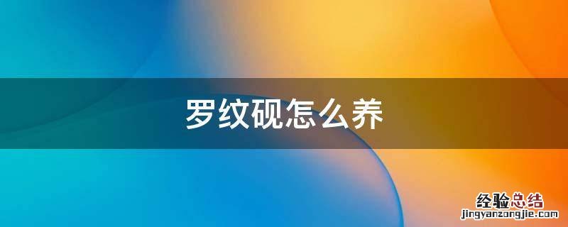 罗纹砚好不好 罗纹砚怎么养