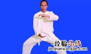 太极拳抱球动作中,右抱球是哪只手在上 杨式太极拳右抱球怎么做