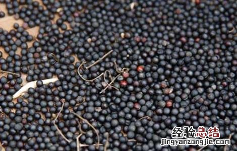 油菜籽的榨油过程图片 油菜籽的榨油过程