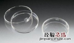 悬浮式培养可选用的培养器有 悬浮式培养可选用的培养器有哪些
