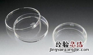 悬浮式培养可选用的培养器有 悬浮式培养可选用的培养器有哪些
