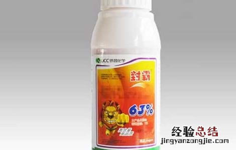 玉米田除草剂的选择方法 玉米田除草剂的选择方法视频