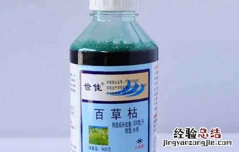 玉米田除草剂的选择方法 玉米田除草剂的选择方法视频