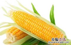整天吃玉米会胖吗 经常吃玉米会胖吗?