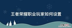 王者荣耀职业玩家如何设置 王者荣耀职业怎么设置