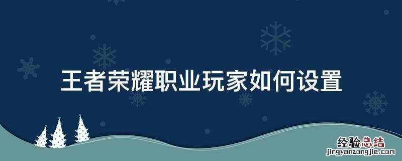 王者荣耀职业玩家如何设置 王者荣耀职业怎么设置