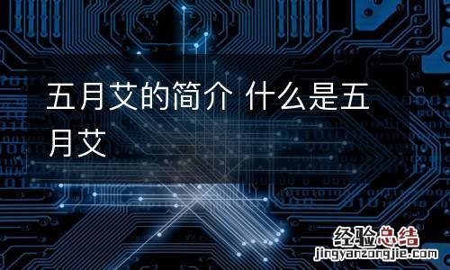 五月艾的简介 什么是五月艾