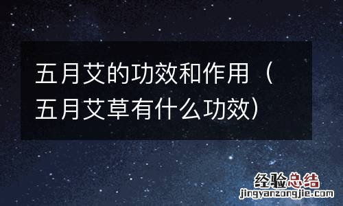 五月艾草有什么功效 五月艾的功效和作用