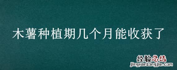 木薯什么时候种植什么时候收获 木薯种植期几个月能收获了