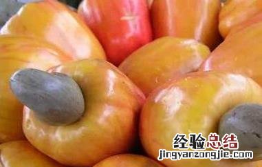 腰果梨是什么梨做的 腰果梨是什么