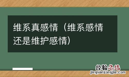 维系感情还是维护感情 维系真感情