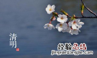 清明节气的优美句子 清明节气的优美句子简述