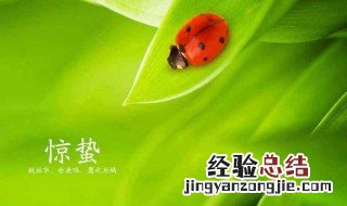 惊蛰养生应该注意什么 你知道答案了吗