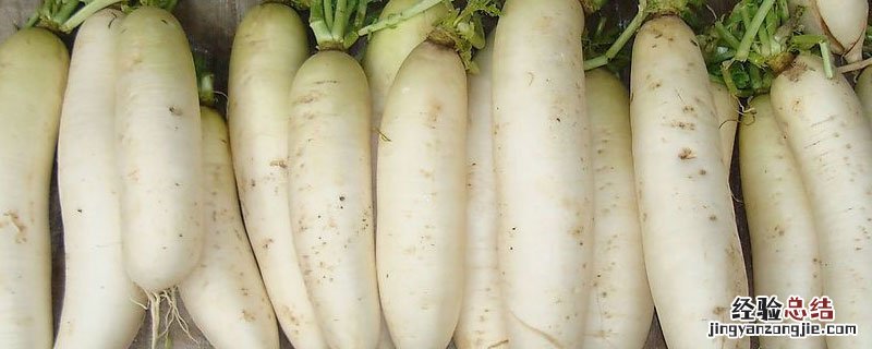 萝卜如何腌制 萝卜如何腌制又脆又好吃
