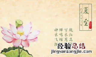 立夏和夏至各代表什么意思 科普小知识送给你