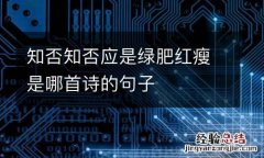 知否知否应是绿肥红瘦是哪首诗的句子