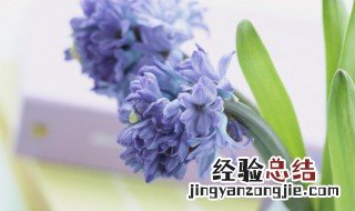 惊蛰早安心语 这些句子唯美又有正能量