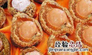 鲍鱼干的禁忌 干鲍鱼的食用禁忌