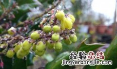 雨水节气养生注意事项 你知道吗