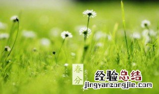 春分的诗句 春分的诗句简述