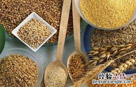 粮食种子储存的要求 粮油种子贮藏时需要注意哪些方面的问题