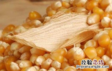 粮食种子储存的要求 粮油种子贮藏时需要注意哪些方面的问题