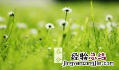 为什么要在春分这一天竖鸡蛋呢 春分这一天竖鸡蛋的原因
