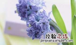 雨水节气朋友圈 这些句子都是适合发的