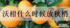 沃柑什么时候放秋梢 沃柑什么时候放秋梢合适