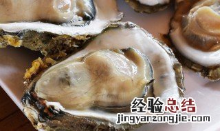 海螵蛸的功效与作用 海蛎的功效与作用