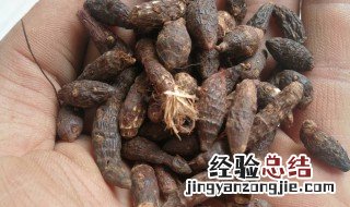 香附的营养价值 香附的药用价值