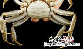 螃蟹买回来可以直接放冰箱冷冻吗 螃蟹买回来可以直接放冰箱冷冻吗冬天