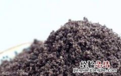 核桃粉的功效与作用 智力核桃粉的功效与作用