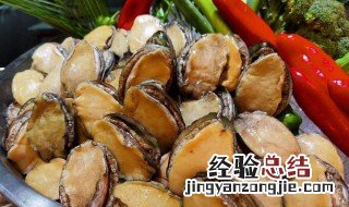 九孔螺是指什么螺 九孔螺的营养价值