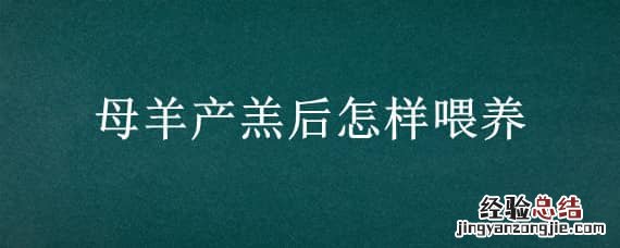 母羊产羔后怎样喂养 母羊产羔后怎么饲喂