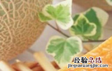 红心洋香瓜的功效与作用是什么 红心洋香瓜的功效与作用
