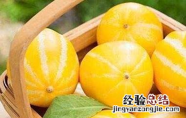 洋香瓜与甜瓜的区别 洋香瓜是什么瓜
