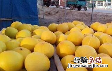 洋香瓜与甜瓜的区别 洋香瓜是什么瓜