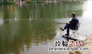 金袖4号能钓多大 4号金袖野钓合适吗