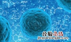 细胞膜中的磷脂分子由什么组成 细胞膜中的磷脂分子由什么组成的