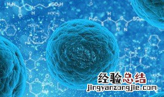 细胞膜中的磷脂分子由什么组成 细胞膜中的磷脂分子由什么组成的