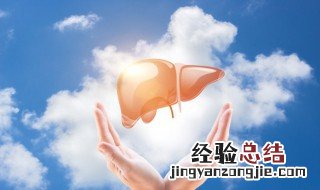 女人肝不好吃什么食物 肝不好吃什么食物