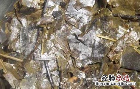 苦丁茶有哪些种类 苦丁茶属于哪种茶类