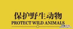 国家重点保护野生动物分为什么级别 国家重点保护野生动物分为