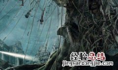 2019年上映的盗墓电影有哪些电视剧 2019年上映的盗墓电影有哪些